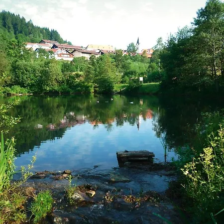 Haus Hertlein St. Englmar Dmg04025 Sya * Albertsried